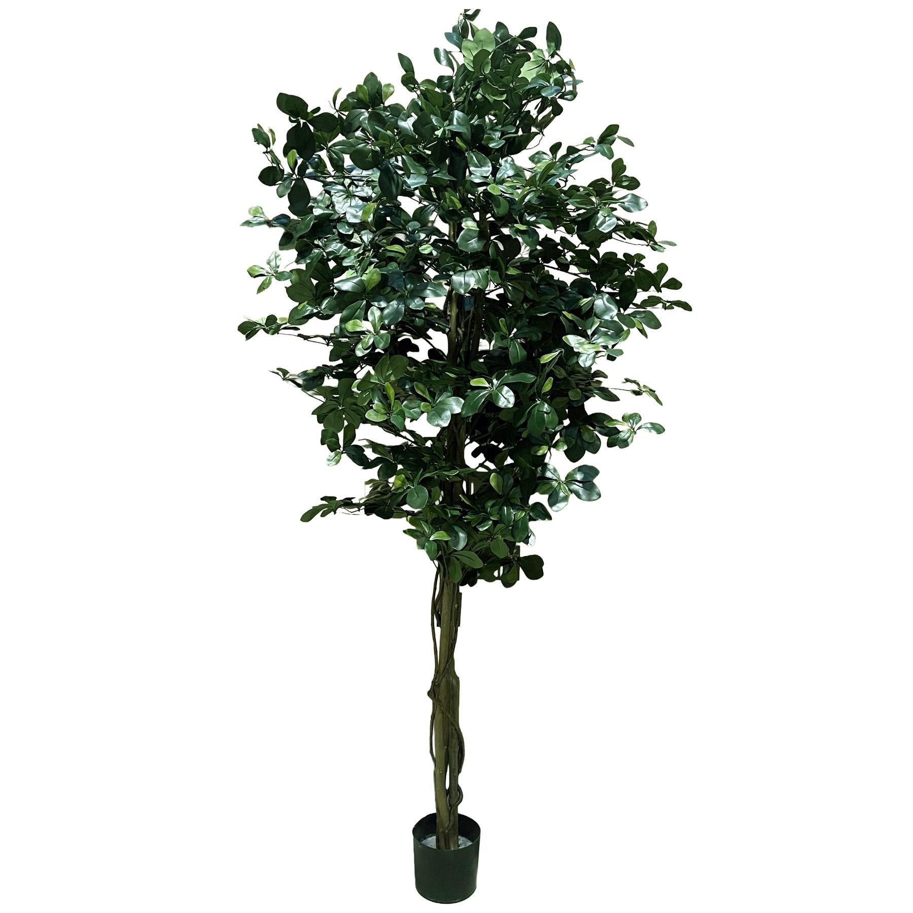 180cm Artificial Fire Retardant Black Olive Tree and Natural Trunk