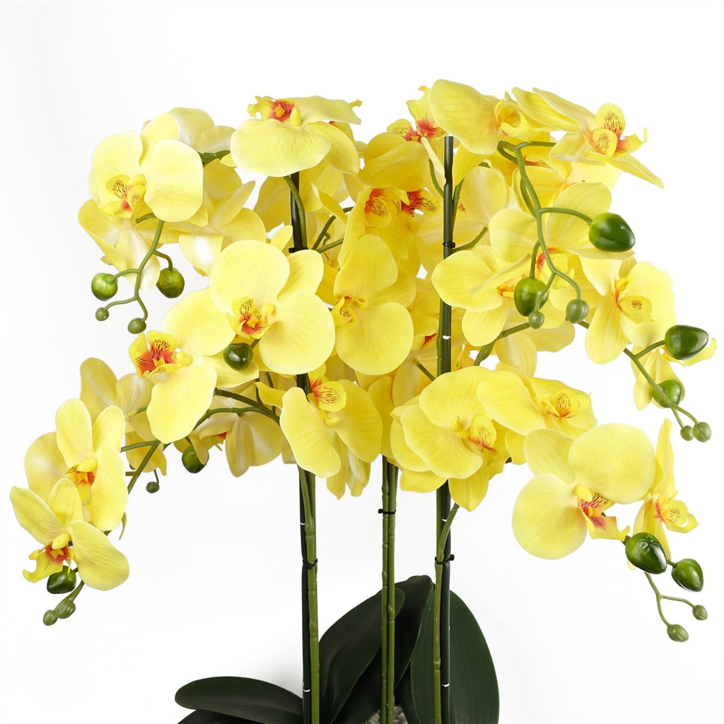 Artificial 60cm Orchid Yellow Black Ceramic Planter