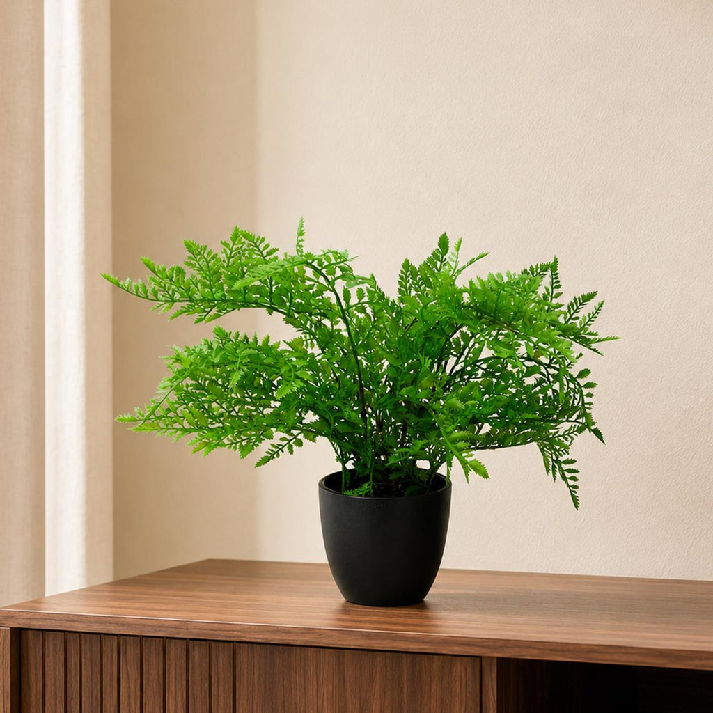 30cm Artificial Potted Southern Wood Fern Black Pot