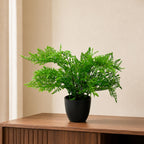 30cm Artificial Potted Southern Wood Fern Black Pot