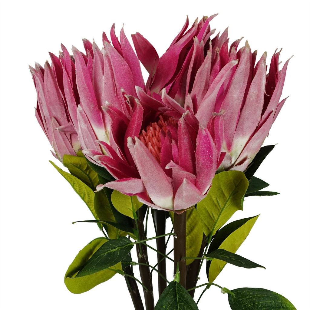 65cm Artificial Protea Sugarbush Flower Stem Pink
