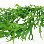 Artificial 80cm Hanging Staghorn Fern