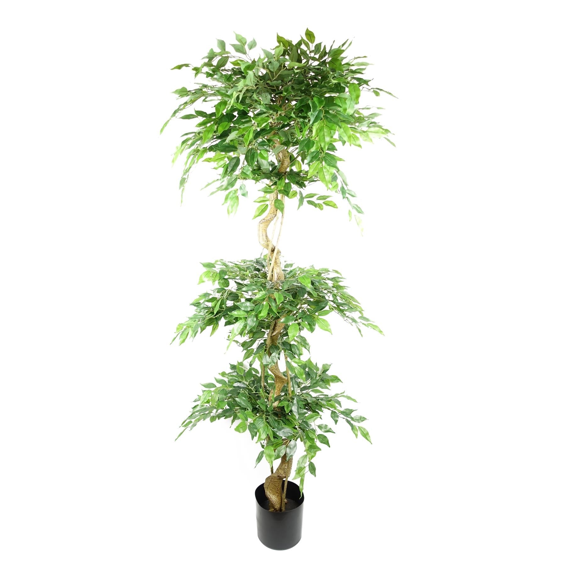 Artificial 180cm Twisted Fruticosa Ficus Tree Triple Ball Topiary