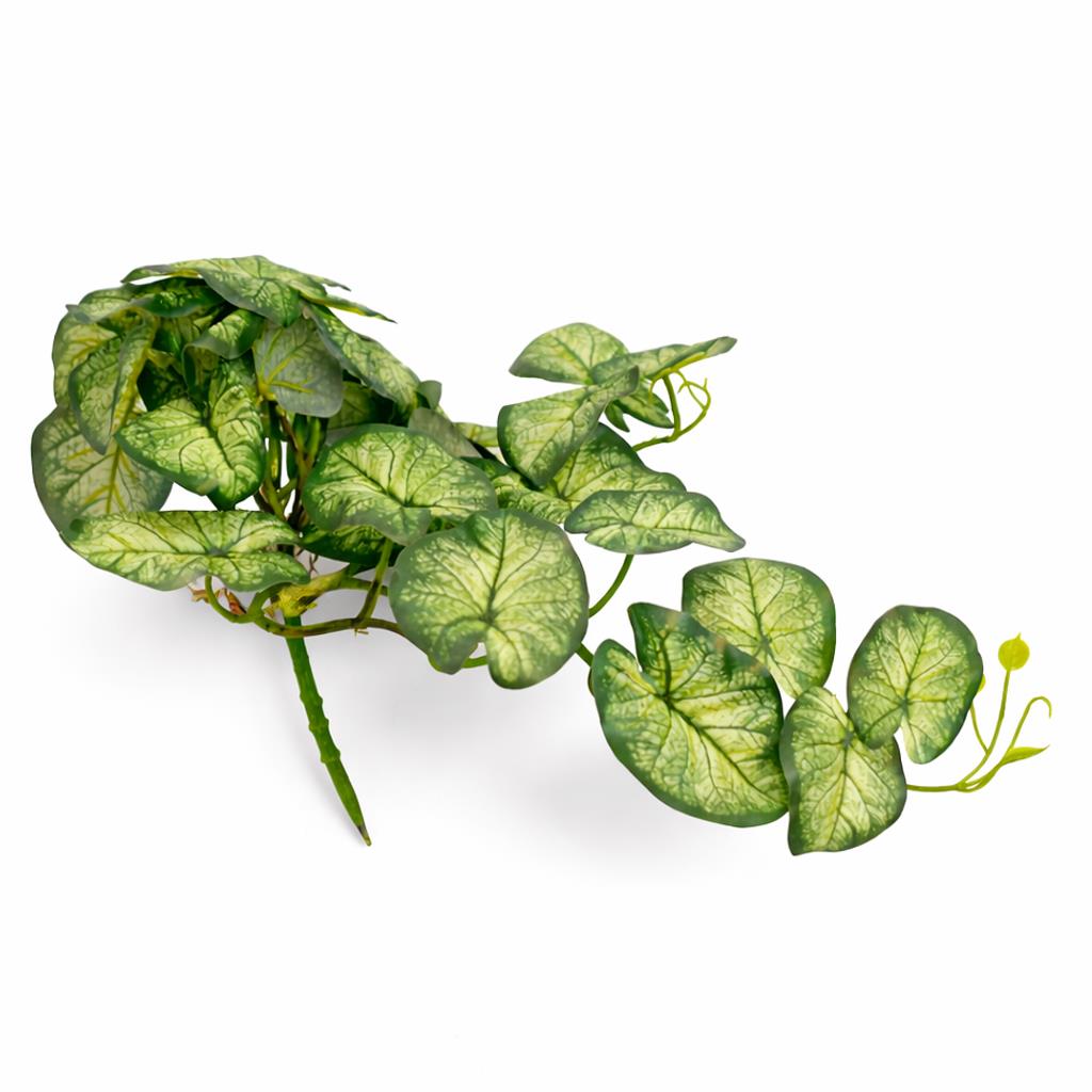 25cm Artificial Trailing Variegated Caladium Vine Plant Dark Green