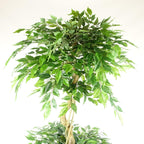 Artificial 180cm Twisted Fruticosa Ficus Tree Triple Ball Topiary