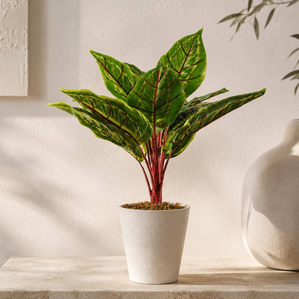 38cm Potted Artificial Calathea Veitchiane