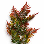 50cm Artificial Fern Spray Stem Autumn Orange