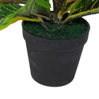 40cm Artificial Codiaeum Multicoloured Plant