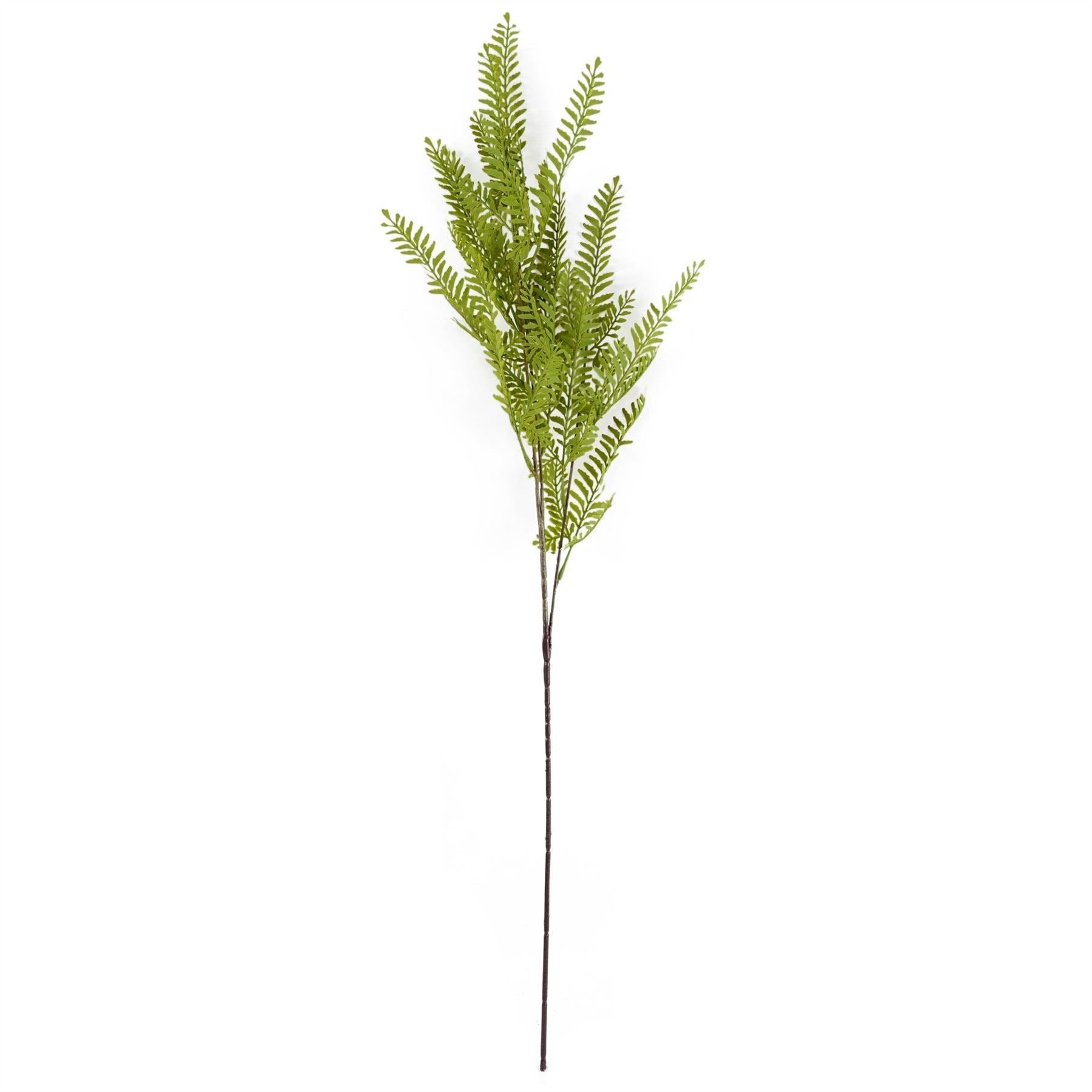 65cm Artificial Mixed Wild Orchid and Ferns Glass Vase