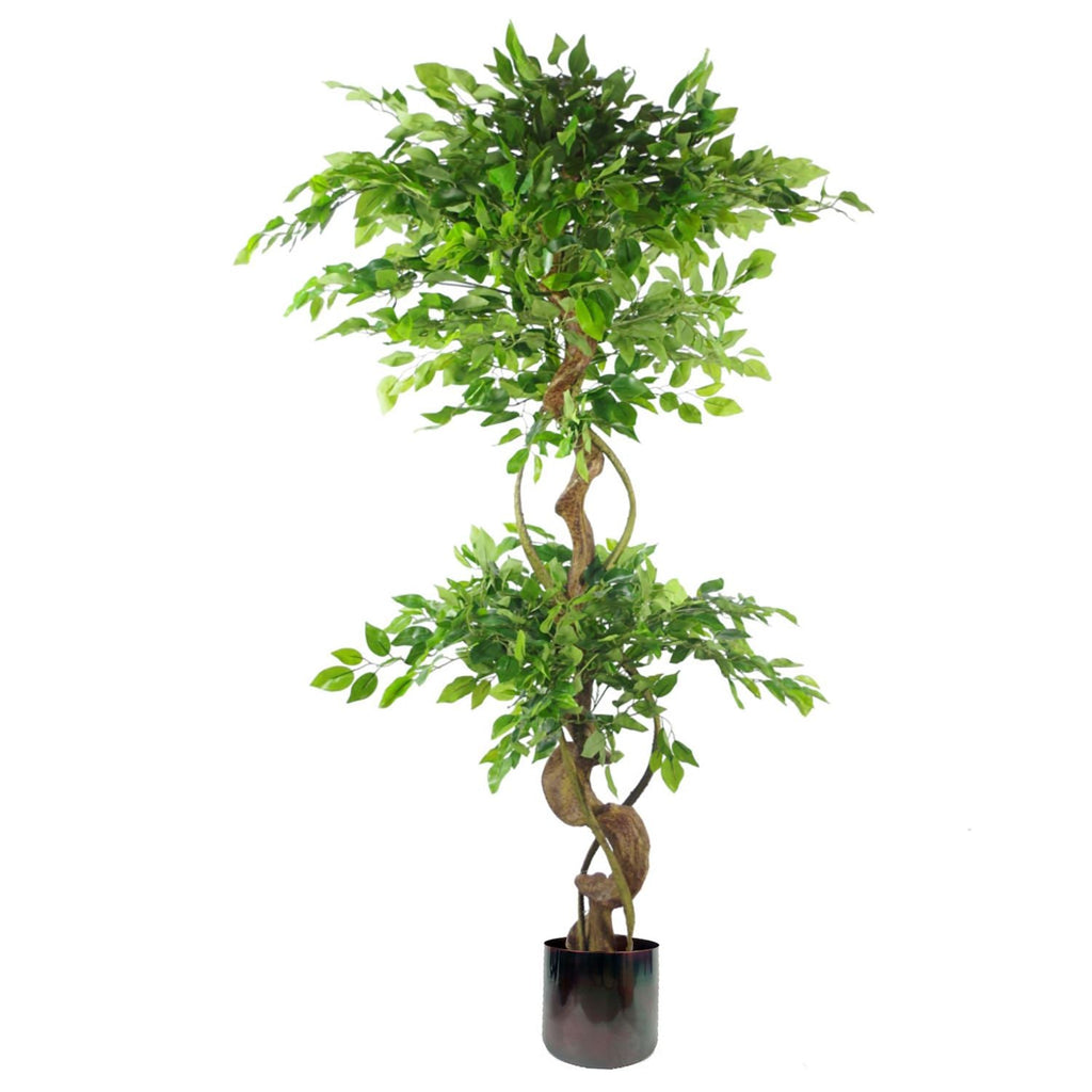 150cm Twisted Trunk Artificial Japanese Fruticosa Ficus Tree Planter