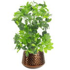 18cm Antique Copper Planter