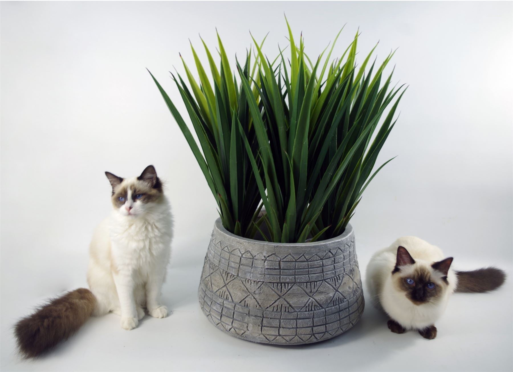 x 37cm Large Grey Gliese Embossed Planter 22cm
