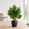 70cm Artificial Deluxe Jade Plant
