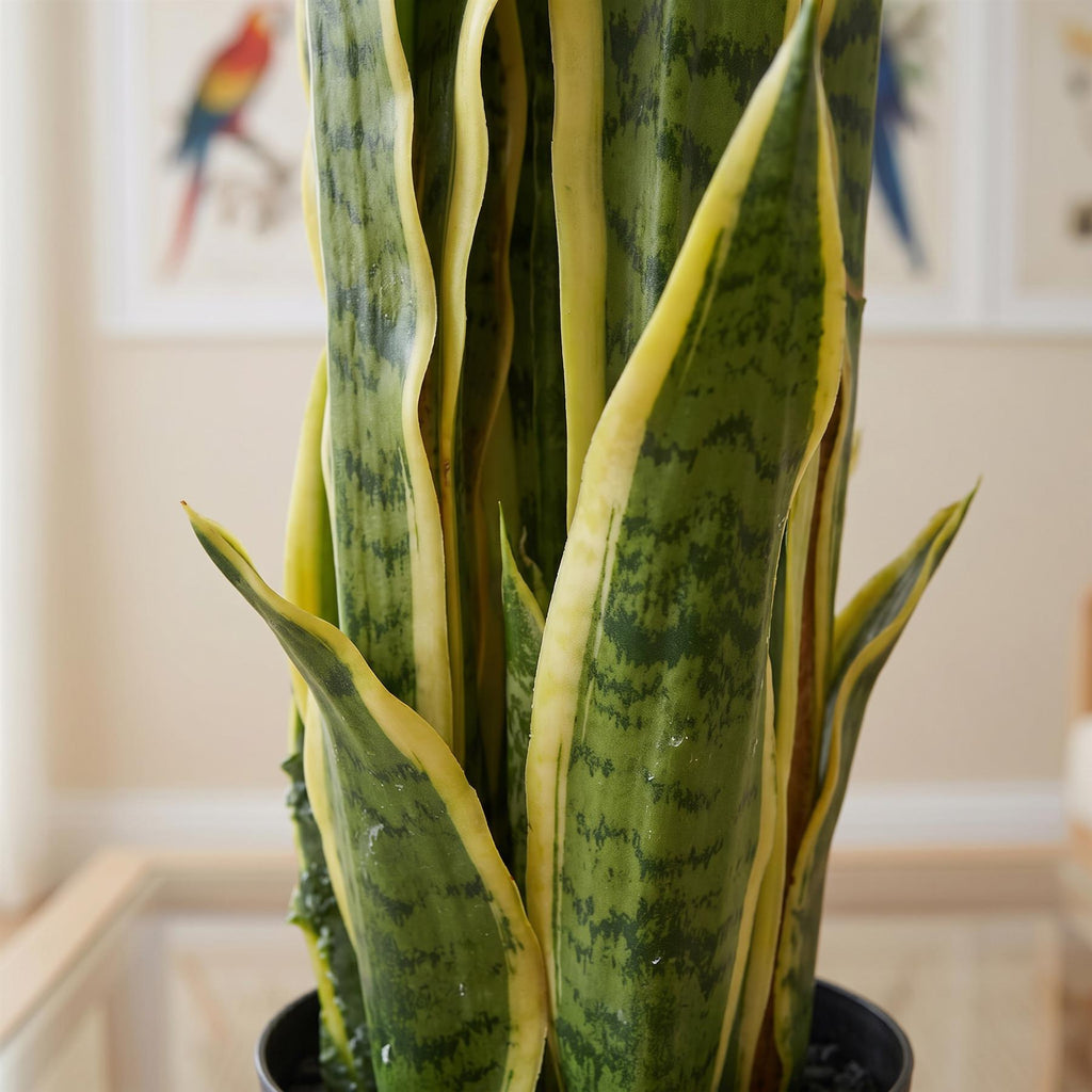 90cm Artificial Sansevieria Yellow Green Indoor Plant