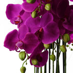 150cm Giant Purple Orchid Plant Artificial 189 flowers REAL TOUCH