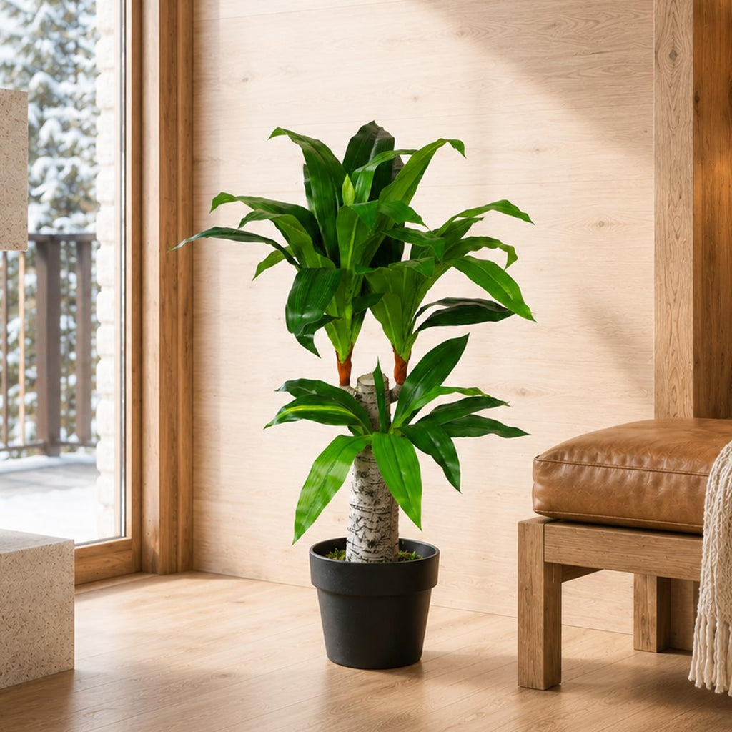 75cm Artificial Dracaena Plant Wide Trunk Triple Branch