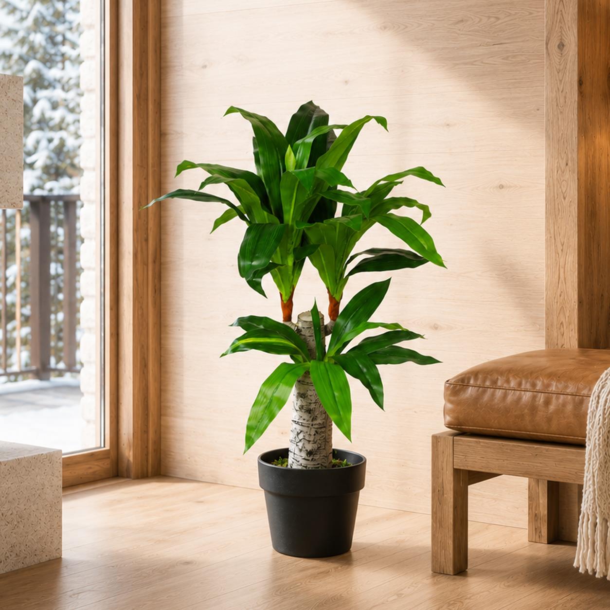 75cm Artificial Dracaena Plant Wide Trunk Triple Branch