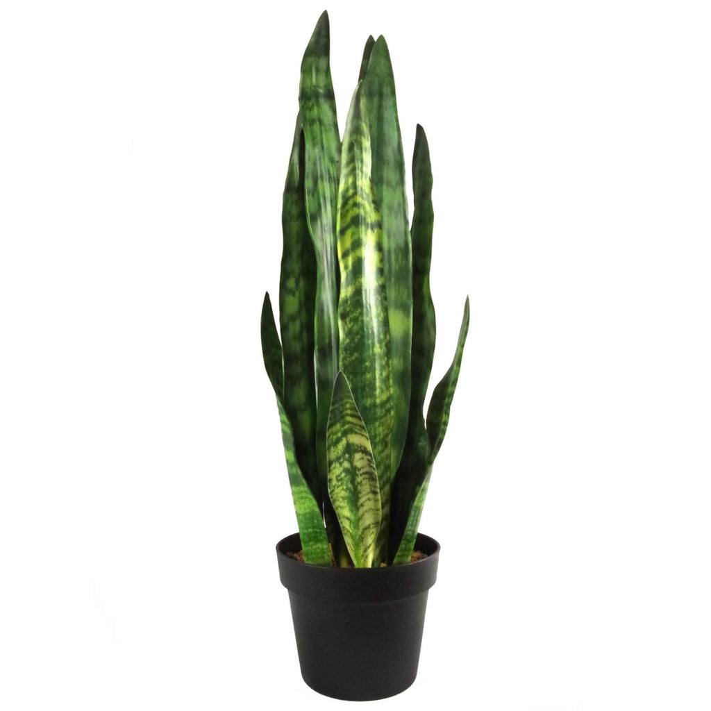 Artificial 70cm Sansevieria Zeylanica Plant
