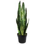 Artificial 70cm Sansevieria Zeylanica Plant
