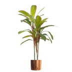 100cm Artificial Potted Dracaena Tropical Plant Copper Metal Plater