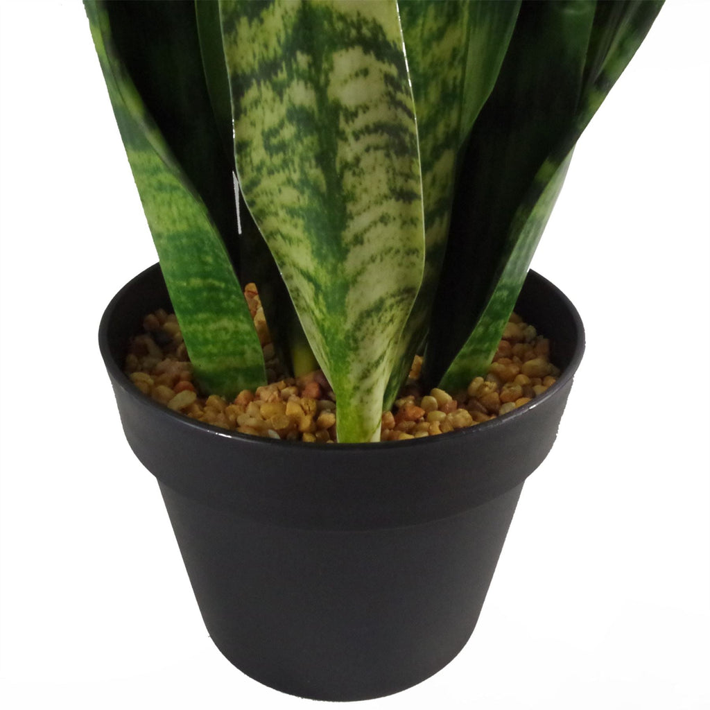 Artificial 70cm Sansevieria Zeylanica Plant