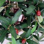 120cm Artificial Olive Bay Style Topiary Fruit Tree