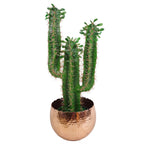 Leaf Large Planter 22 x 17cm Hammered Gold Colour Curvy Edge