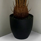 70cm Artificial Tropical Cycas Palm Plant
