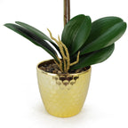 50cm Phalaenopsis Orchid Artificial Purple Leopard Gold Pot