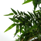 Artificial 120cm Oriental Bamboo Plant