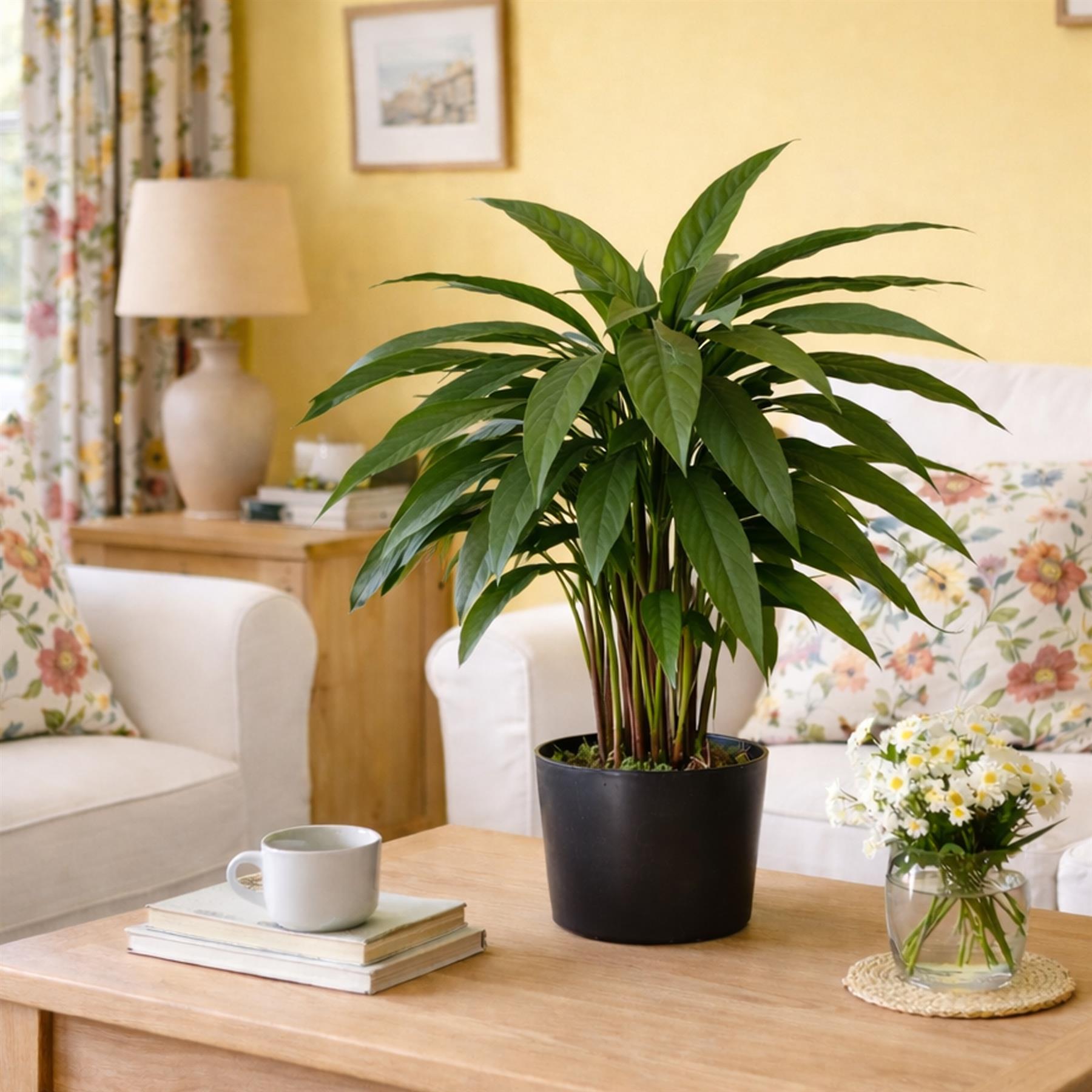 60cm Artificial Calathea Evergreen Plant