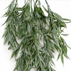 80cm Artificial Italian Ruscus Hanging Plant with Foliage Sage Green