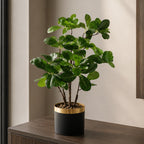 60cm Artificial Tropical Bonsai Ficus Tree