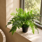 50cm Luxury Artificial Evergreen Fronded Fern Plant