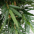 180cm Artificial Premium UV Resistant Bamboo