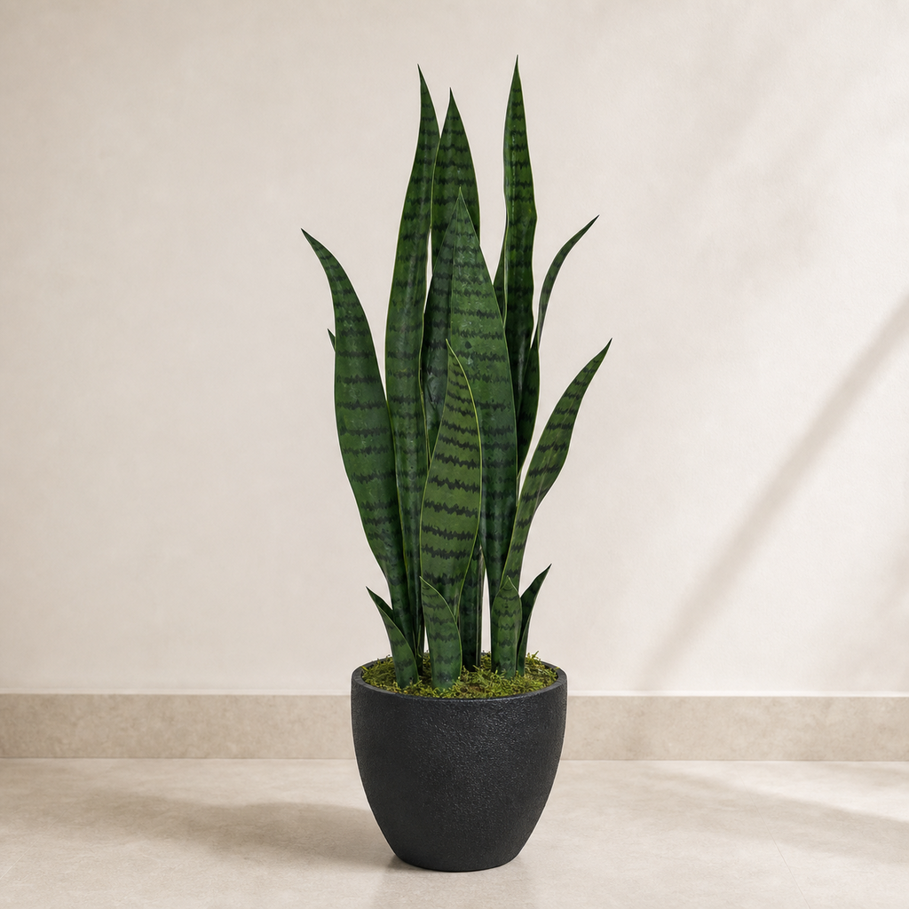 70cm Artificial Sansevieria Dark Green