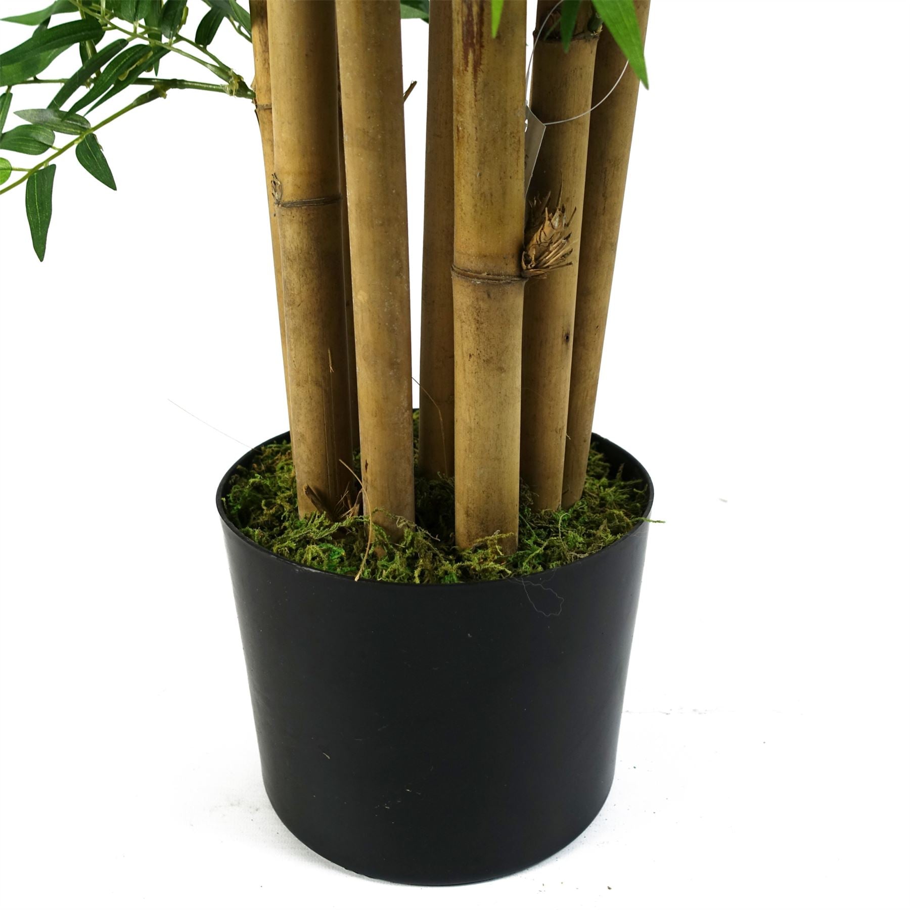 Artificial 150cm Oriental Bamboo Plant