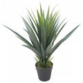 Artificial 60cm Agave Succulent Yukka Style Green Plant