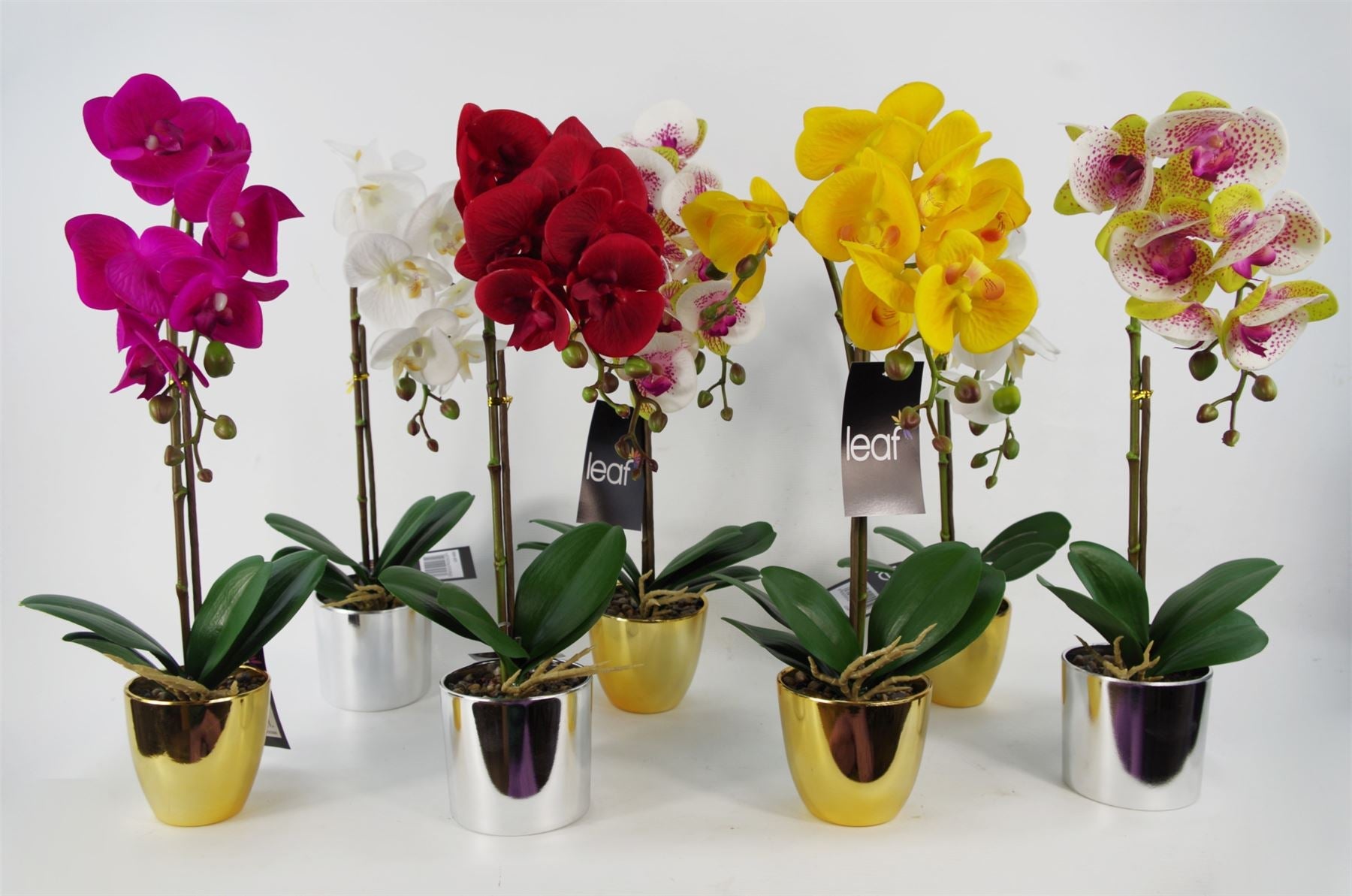 52cm Artificial Orchid Large -White Silver