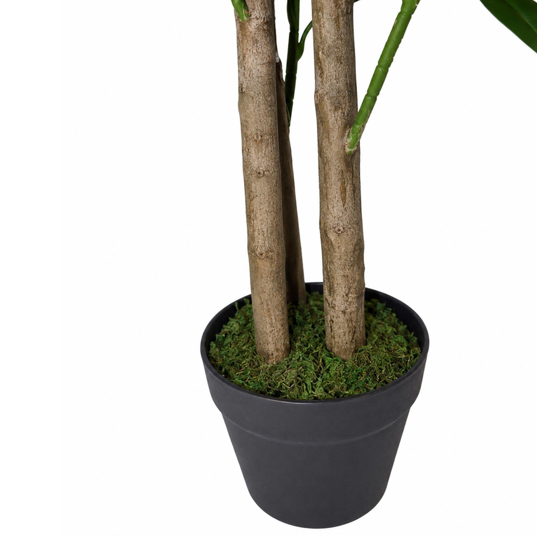 95cm Umbrella Tree Dark Ficus Green Artificial Plant