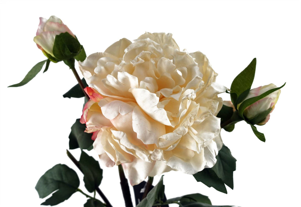 60cm Peony Artificial Flower Cream 1 Flower 3 Buds