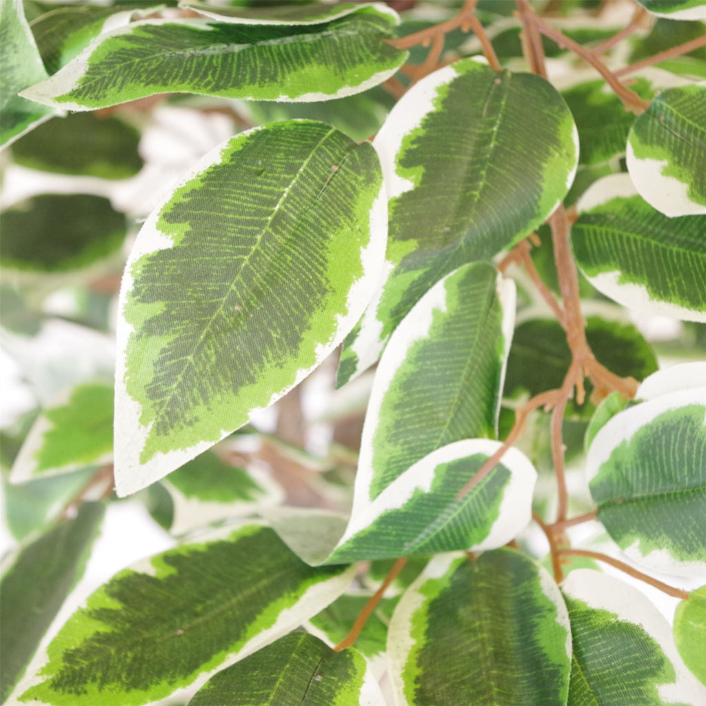 130cm LARGE Realistic White Edge Ficus Artificial Tree