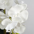 Artificial 60cm Pure White Orchid with Ceramic Bubble Planter