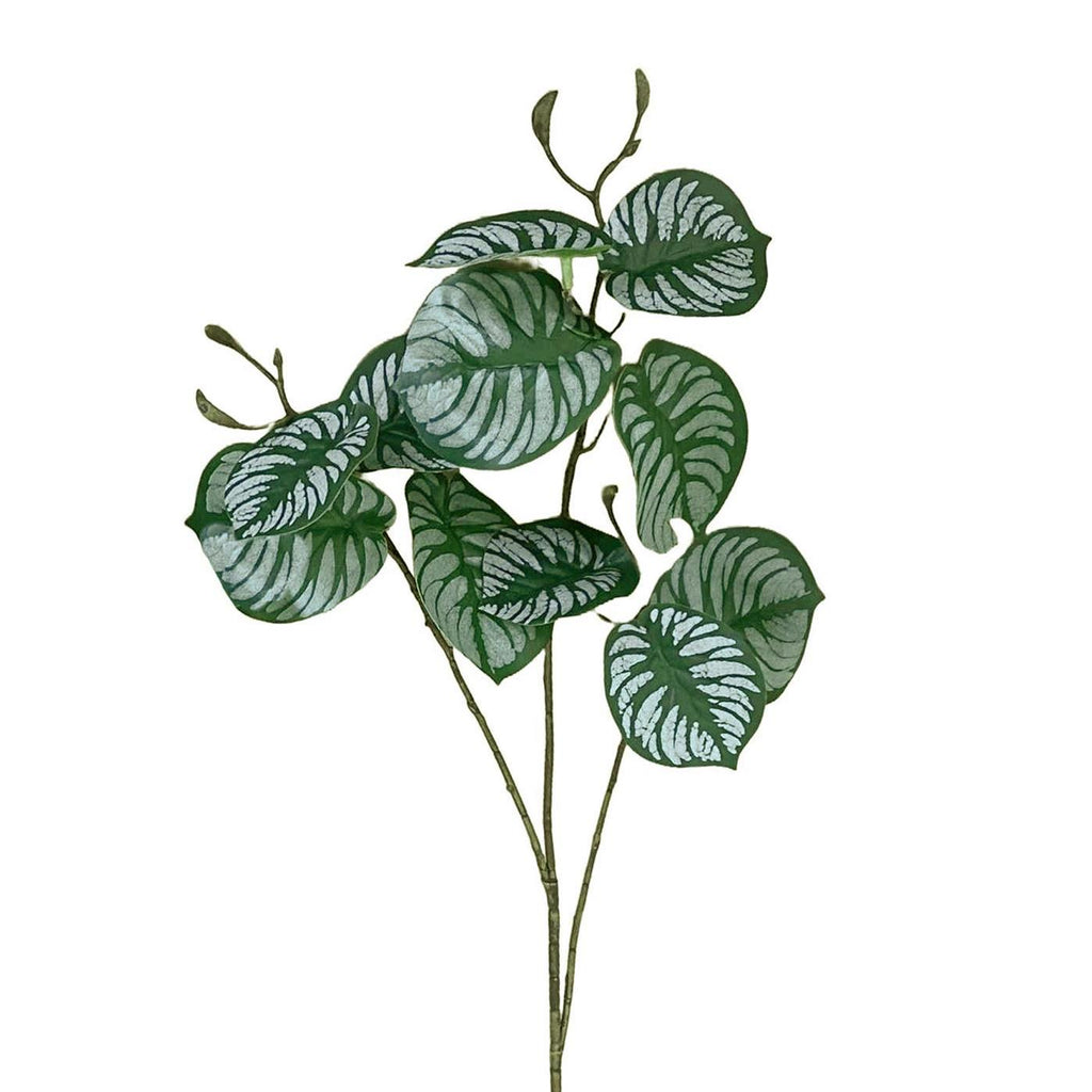 70cm Artificial Zebra Foliage