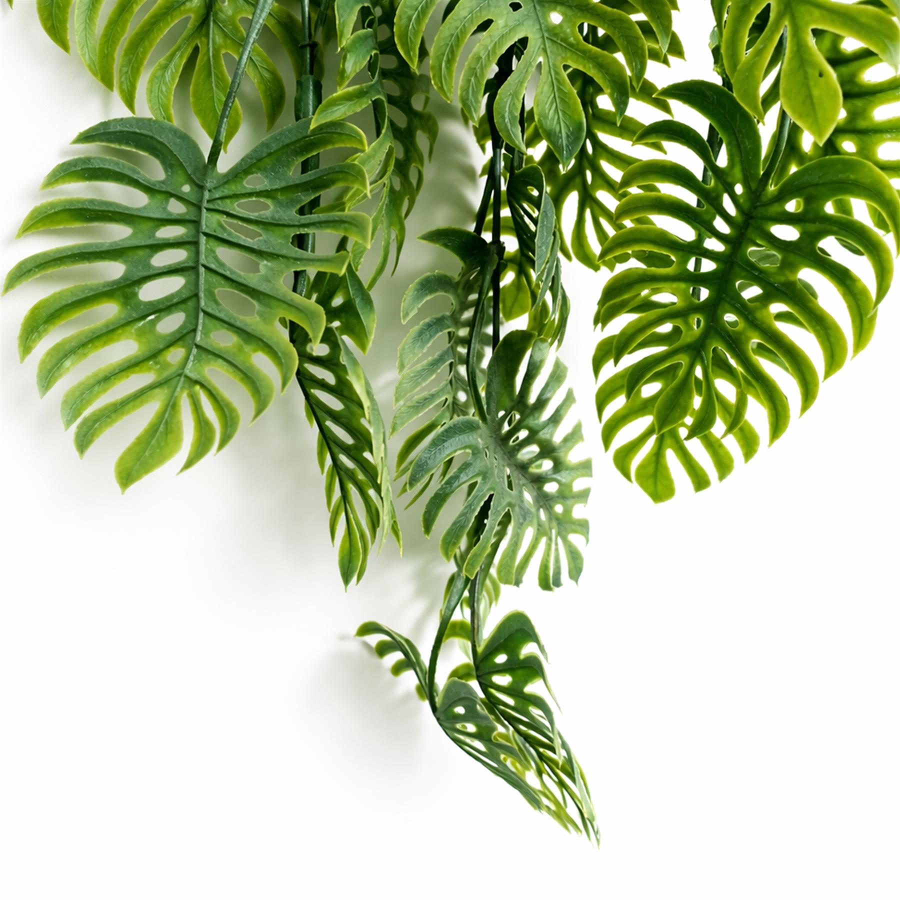 80cm Artificial Trailing Tropical Monstera Plant Sage Green
