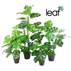 Artificial Monstera Plant 100cm Monstera