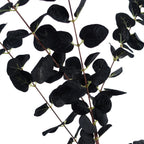 80cm Artificial Black Eucalyptus Foliage Stem