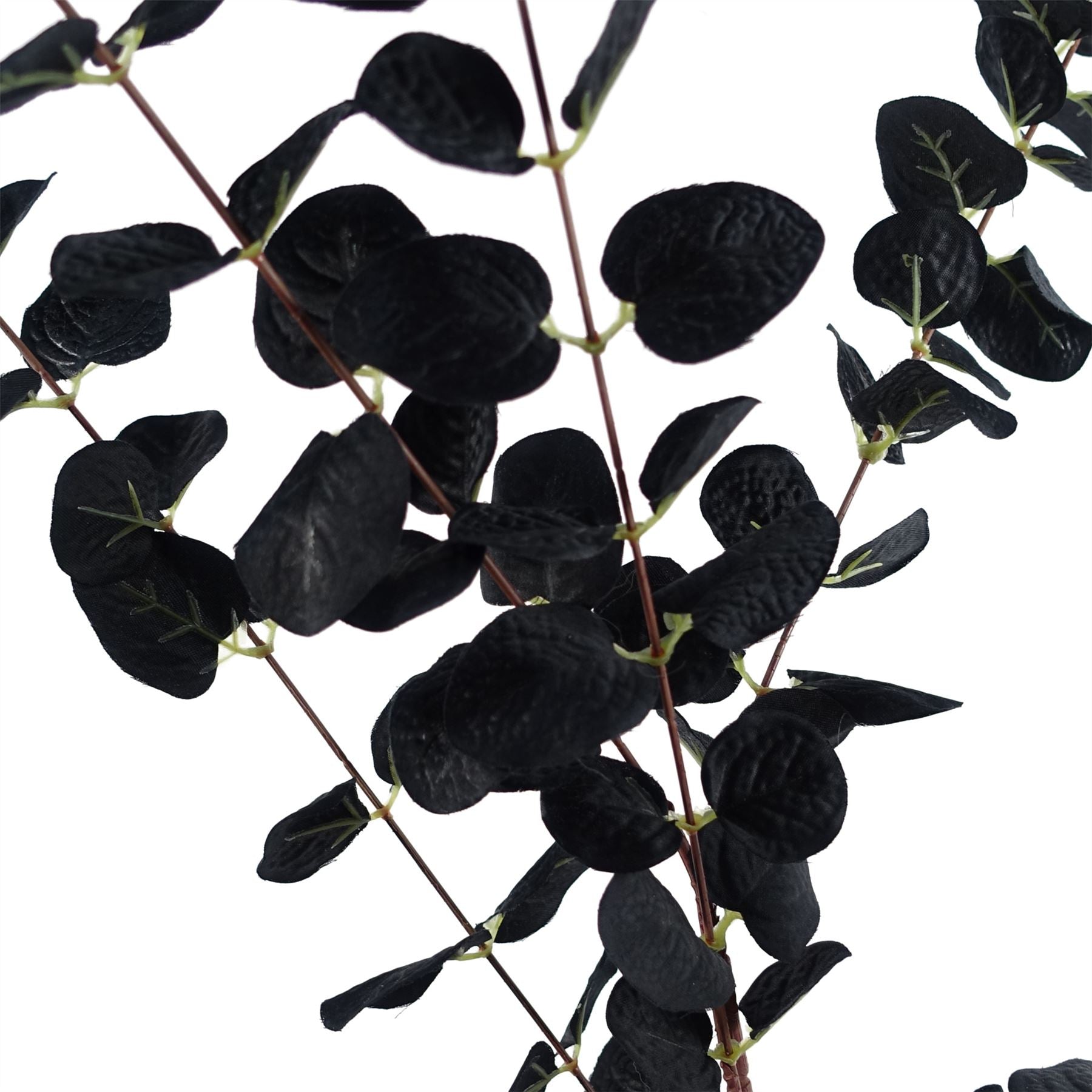 80cm Artificial Black Eucalyptus Foliage Stem