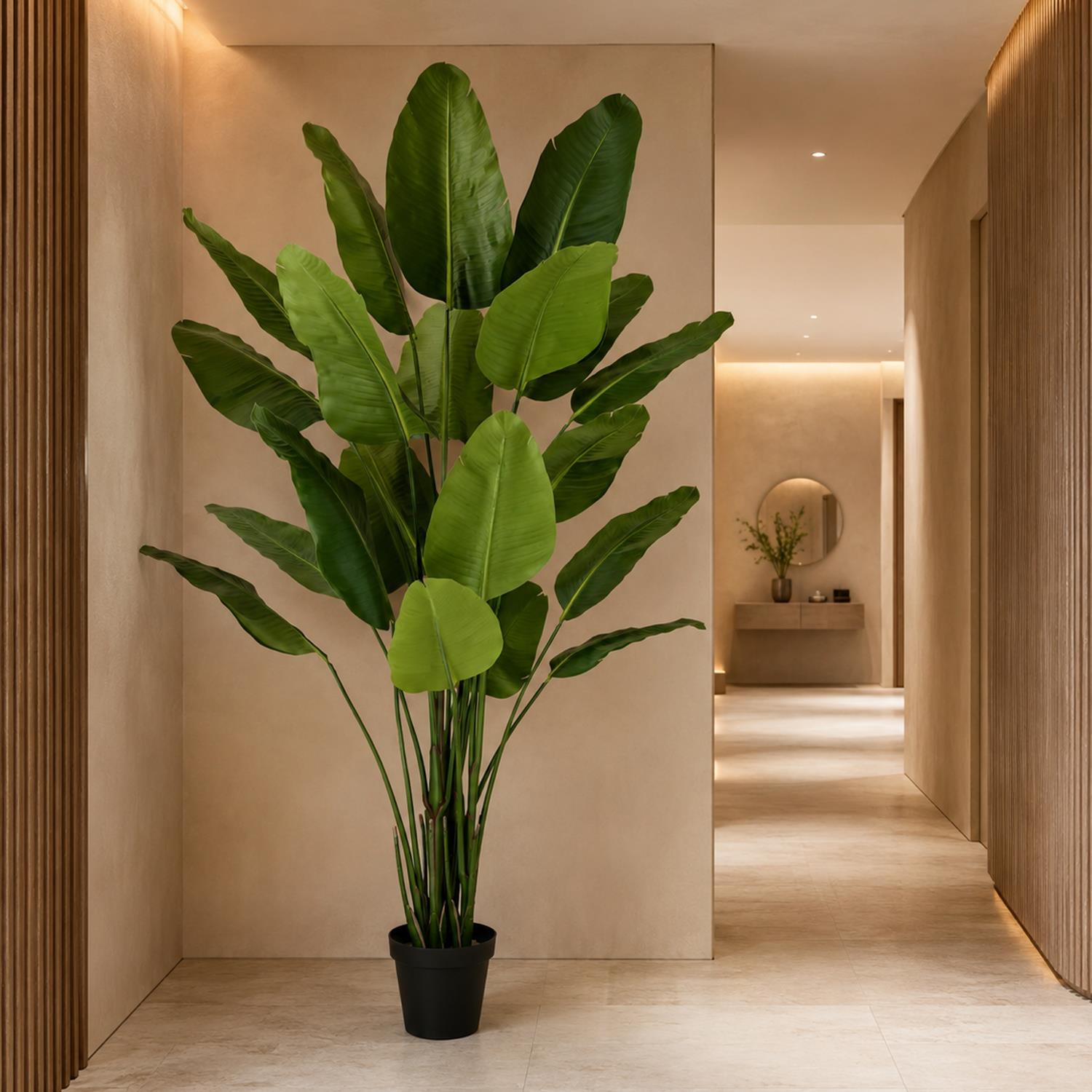 200cm Traveller Palm Artificial Tree