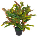 65cm Artificial Codiaeum Multicoloured Bright House Plant